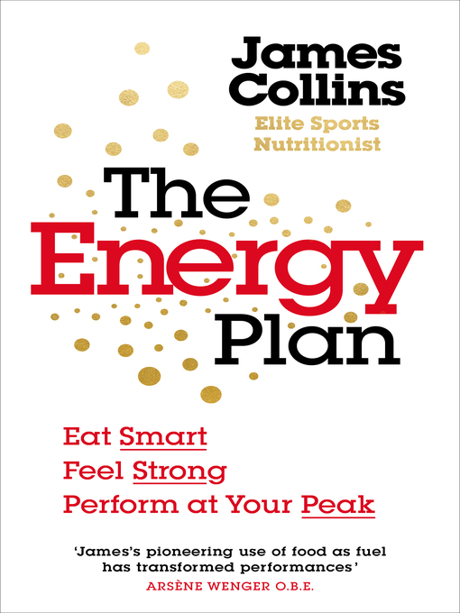 Cover image for The Energy Plan